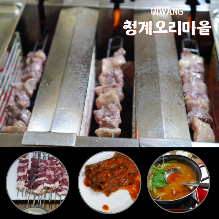 의왕 청계 오리마을 생생정보통 맛집 오리꼬치 회전식 숯불구이