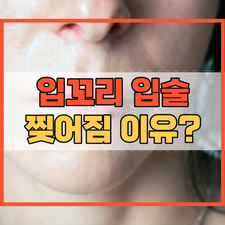  입꼬리 찢어짐 입술 찢어짐이 이런 이유였어?