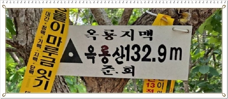 옥룡산 사진 5