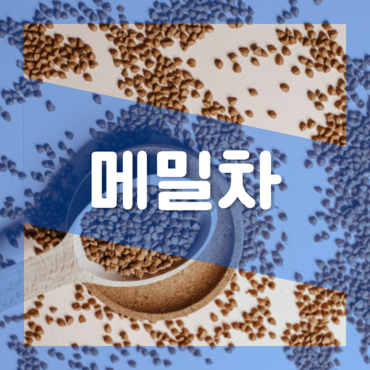  볶은 메밀차 효능 : 카페인 부작용 물대신 다이어트 영양성분