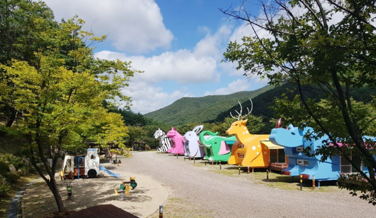  경북 포항 비학산자연휴양림 카라반 야영장 시설 소개 예약 방법