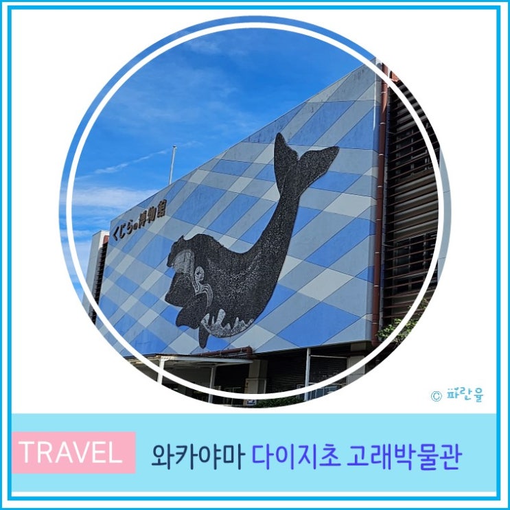  간사이 오사카 근교 와카야마 아이와 가볼만한 곳 다이지초 고래박물관