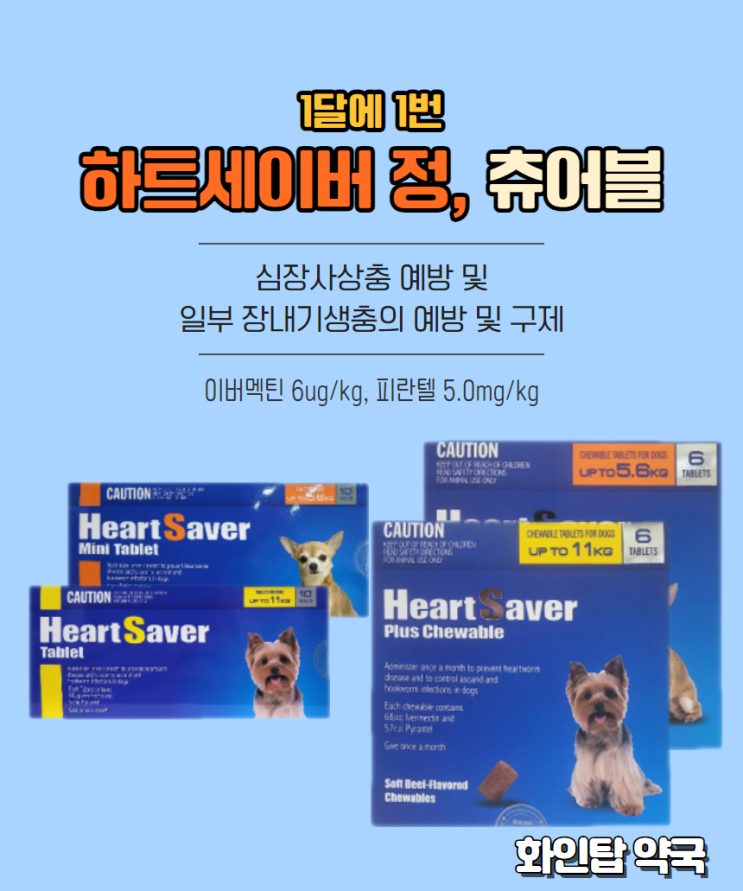 [화인탑 약국] 우리 강아지 심장사상충 예방하기 (하트세이버정/츄어블정)
