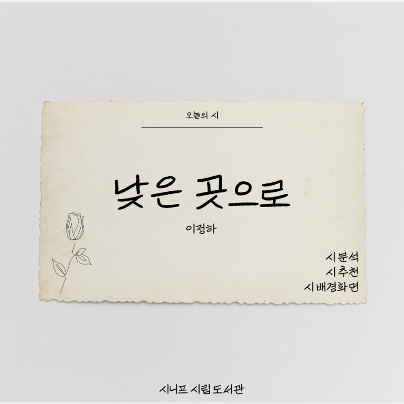 [오늘의 시/시추천]낮은 곳으로 - 이정하 / 시 분석 / 시 배경화면