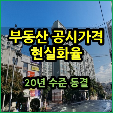  부동산 공시가격 현실화율 20년 수준 동결