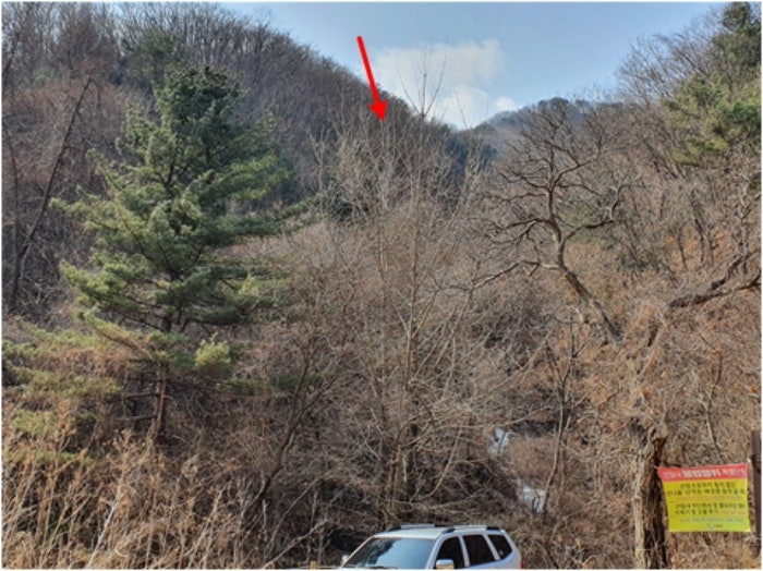 아름뜰펜션 사진 5