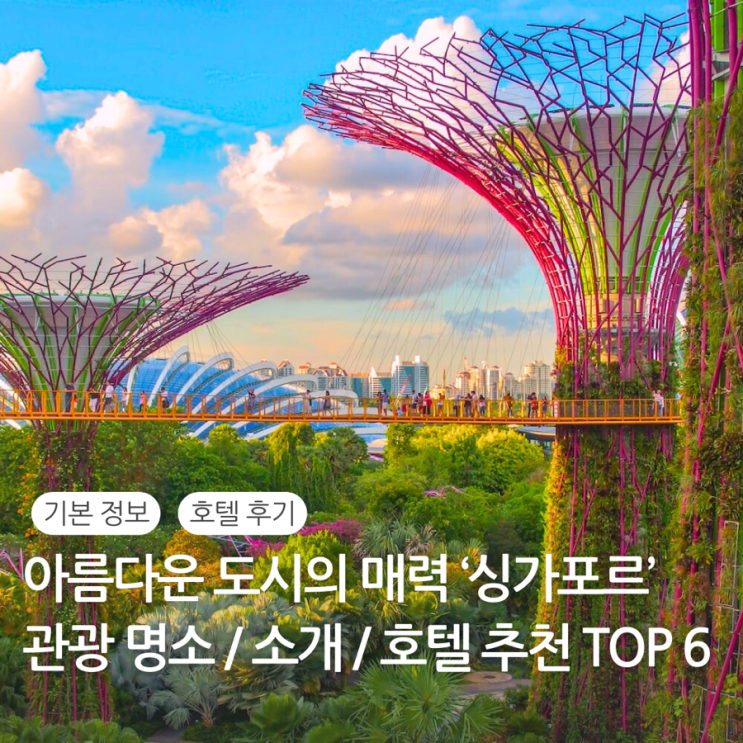  싱가포르 호텔 추천 TOP 6 / 싱가포르 소개 가볼만한곳 유명 관광지 슈퍼트리 그로브