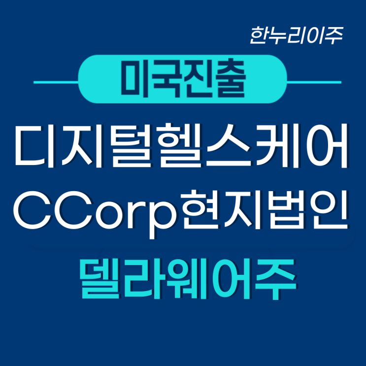  디지털 헬스 케어 - 델라웨어 현지법인 Corporation