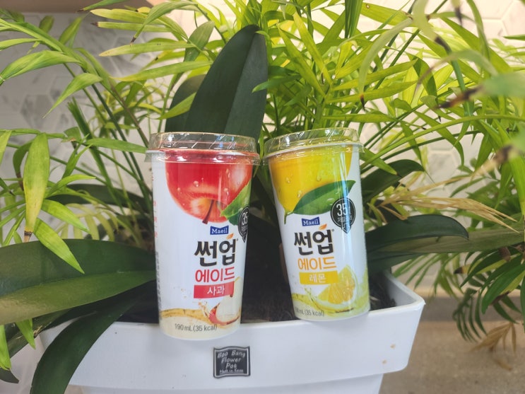  비타민 섭취가 편리한 저칼로리 썬업에이드