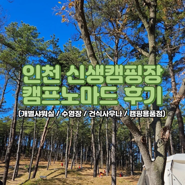  인천 영흥도, 개별 샤워장과 수영장이 있는 신생 캠핑장, 캠프노마드 방문 후기(+사이트 구역별 뷰)