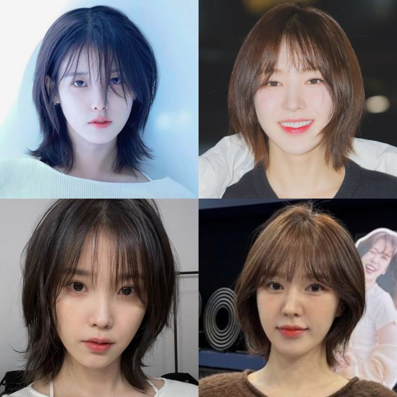 여자연예인 아이유 웬디 중단발 허쉬컷 레이어드컷 헤어스타일 관리법 이미지