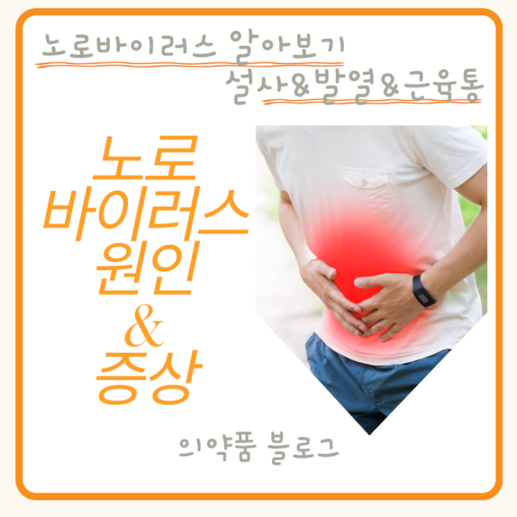  노로바이러스 원인과 증상 치료방법 알아보기