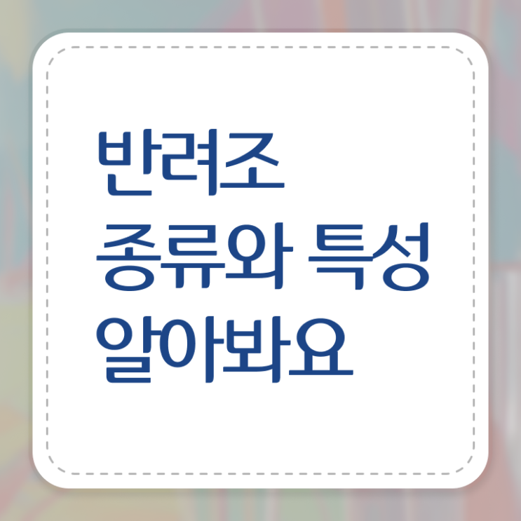  반려조관리사 자격증 취득방법 전격분석 .