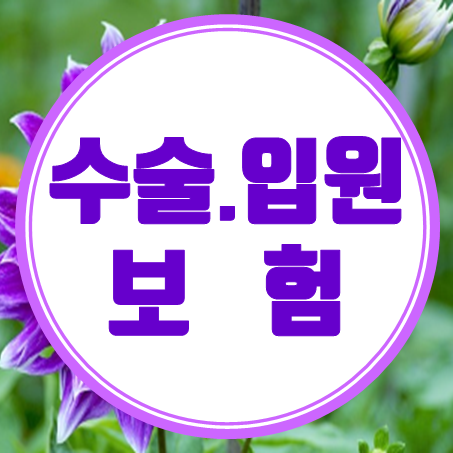  질병 수술비보험과 입원비보험 가입 시 비교해야 할 부분 및 추천 회사