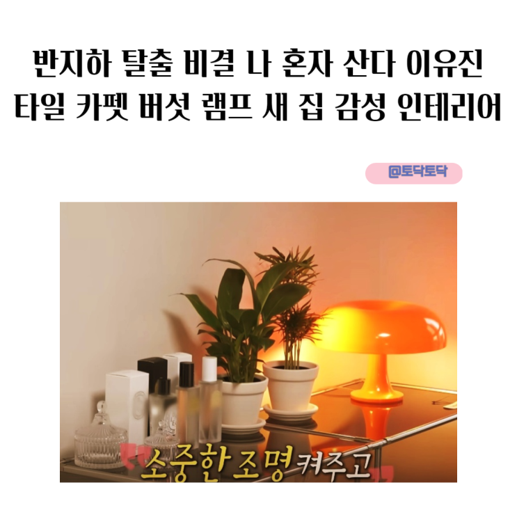 반지하 탈출 비결 나 혼자 산다 이유진 타일 카펫 버섯 램프 새 집 감성 인테리어 반지하 탈출 비결 나 혼자 산다 이유진 타일 카펫 버섯 램프 새 집 감성 인테리어