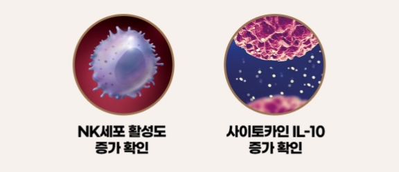 대장암 NK365 면역밸런스 효과와 후기, 먹기 전 꼭 짚고 넘어가야하는 사실 4가지