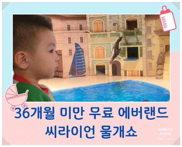  36개월 미만 무료입장 에버랜드 주토피아 씨라이언(빌리지)스타디움 물개쇼