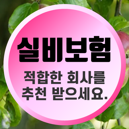  실비보험비교사이트를 통해 더 좋은 실비보험가입 조건을 추천 받으세요.