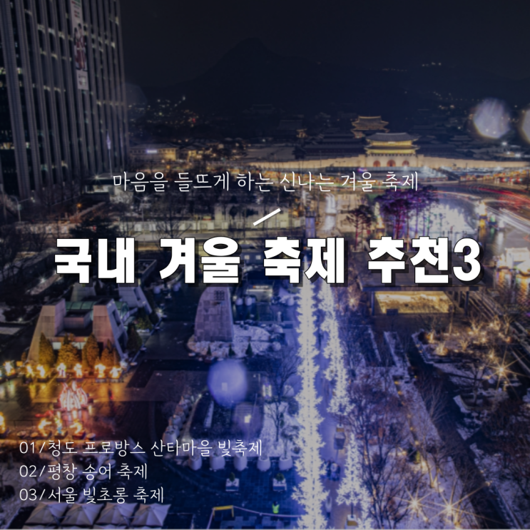  [2023 국내 겨울 가볼만한 곳 축제 3곳] 빛축제, 송어 축제 기본정보