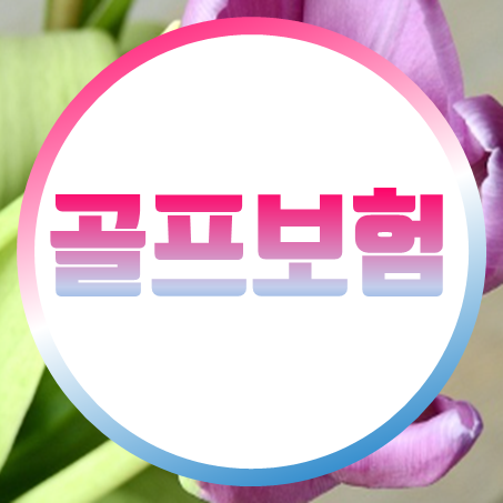  홀인원 골프보험 가입의 필요성과 보장내용 및 비교 시 고려할 사항과 추천 회사