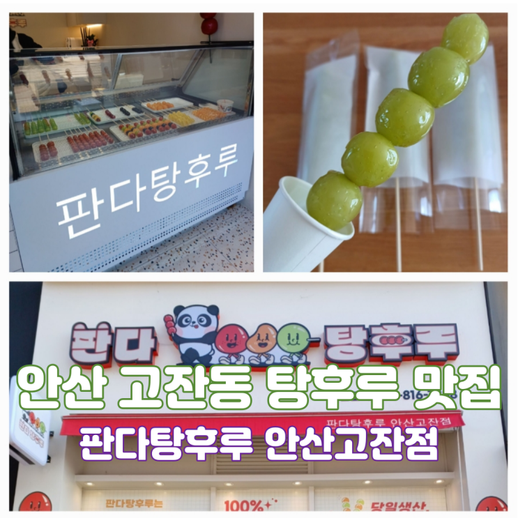 안산 고잔동 탕후루 맛집 판다탕후루 안산고잔점 재방문 후기 안산 고잔동 탕후루 맛집 판다탕후루 안산고잔점 재방문 후기