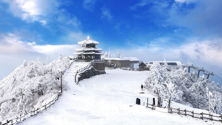 겨울 눈꽃 산행 추천하는 겨울 산 BEST 3! 덕유산, 태백산, 한라산까지! 환상적 상고대를 만나는 등산코스 산행! 겨울 눈꽃 산행 추천하는 겨울 산 BEST 3! 덕유산, 태백산, 한라산까지! 환상적 상고대를 만나는 등산코스 산행!