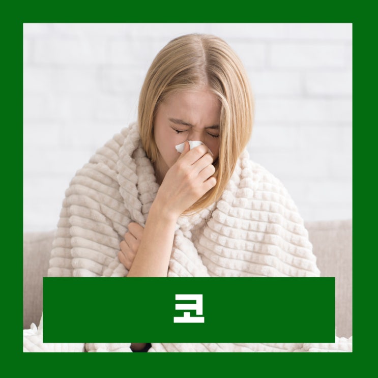  코안 염증 연고 코 헐었을때 증상 원인 코속 안연고