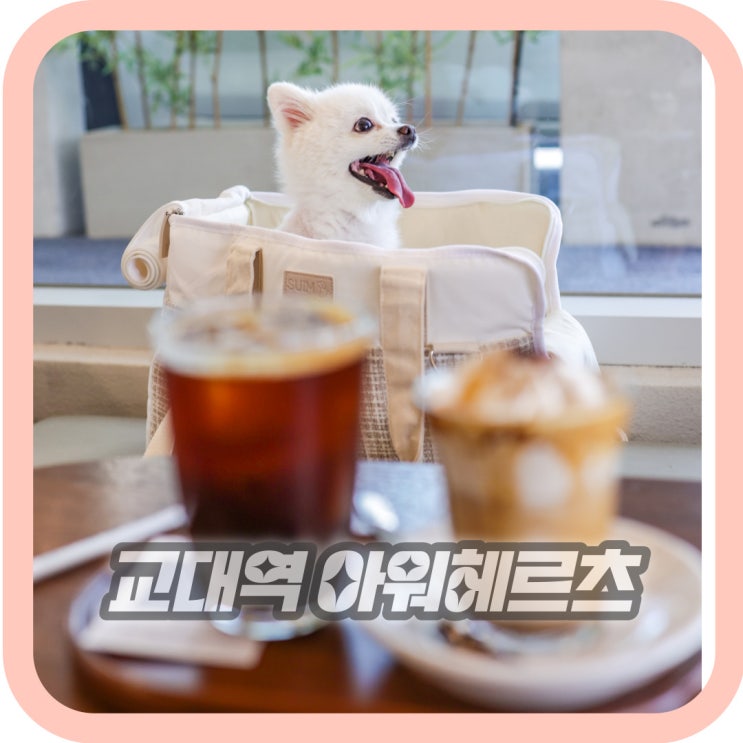  교대역 카페 주차 가능 애견동반 카페 교대 아워헤르츠