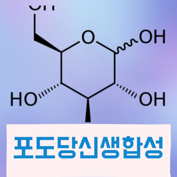  포도당신생합성 뇌주원료 포도당만 사용할까?