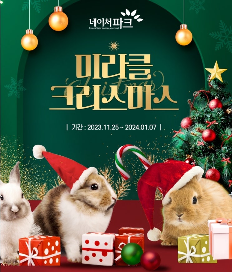  2023대구 네이처파크 미라클 크리스마스 축제 즐기기