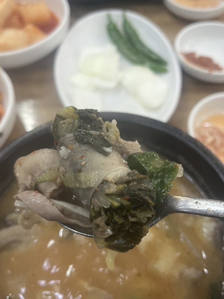  보라매 맛집 보라매역 수요미식회 나온 순대국집 서일순대국 시래기순대 신기하당