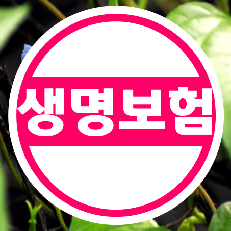  종신보험추천, 폭넓은 일반사망보험금을 받을 수 있는 생명보험 추천