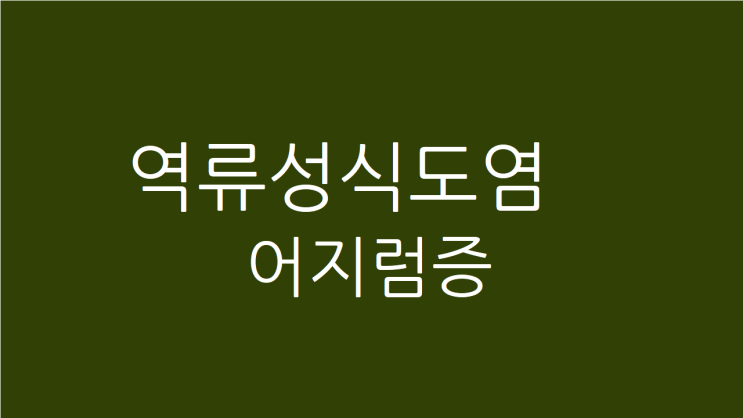  역류성식도염 어지럼증 속도 메쓰껍다면