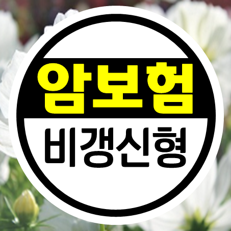  암보험비갱신형 추천, 암보험료 오를 걱정 없으면서 보장내용 좋은곳