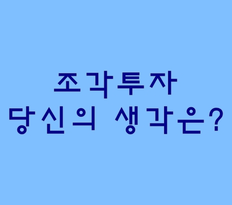  조각투자 여러분들의 생각은 어떤가요?