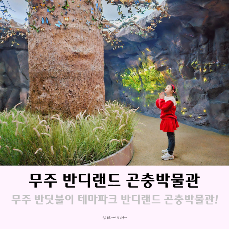 무주 반딧불이 테마파크 반디랜드 무주곤충박물관 무주 반딧불이 테마파크 반디랜드 무주곤충박물관