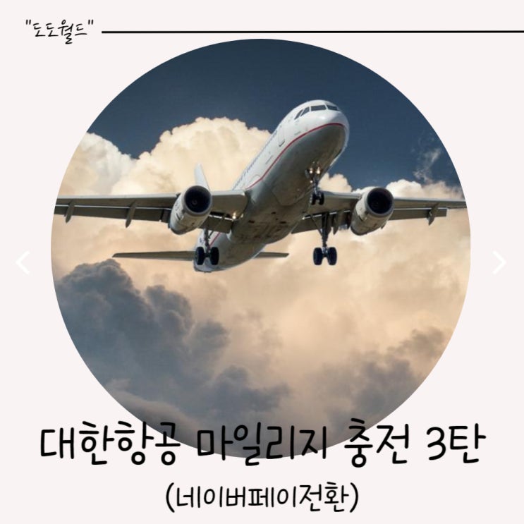  대한항공 마일리지 전환,마일리지 충전방법(네이버페이전환)