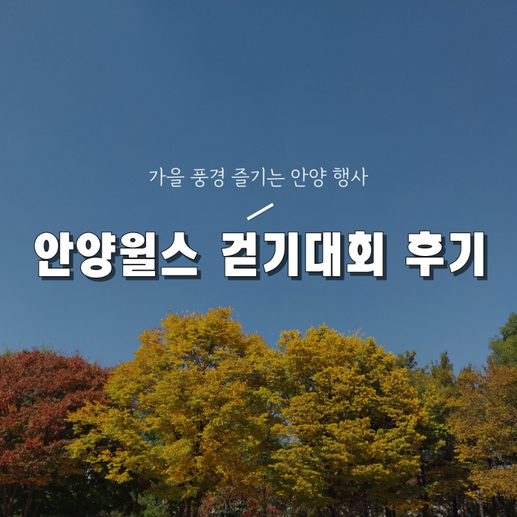 [안양 가을 행사] 제6회 안양윌스 걷기대회 후기