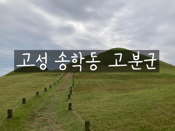  경남 가볼만한곳 고성 송학동 고분군