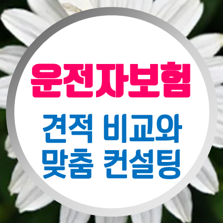  운전자보험추천, 회사별 운전자보험보상 조건과 기준을 꼼꼼히 비교 후 가입을 결정하세요.