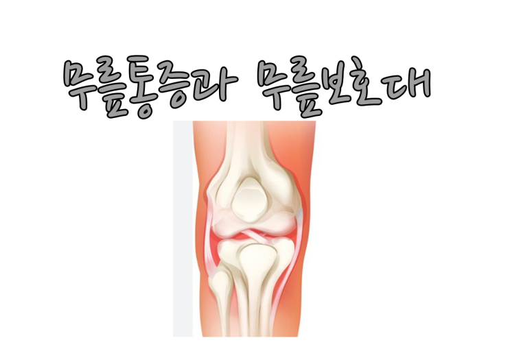 무릎통증과 무릎보호대 올바른 사용법에 대한 생각 (니랩)