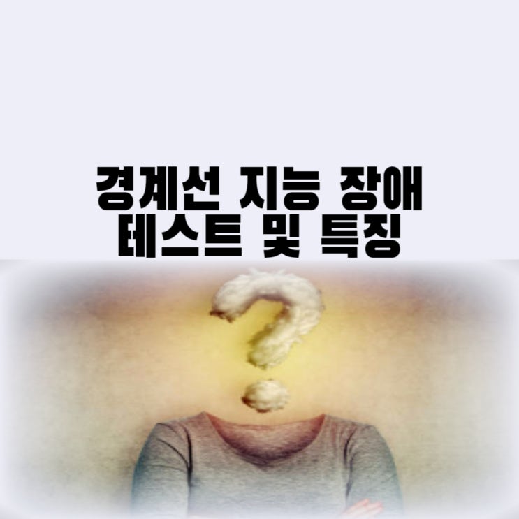  경계선 지능 장애테스트 및 특징 경계성 지능 장애 검사 웩슬러 지능 검사
