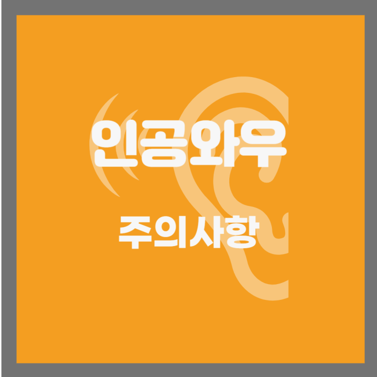  인공와우 사용 시 알아두어야 할 중요한 사항들