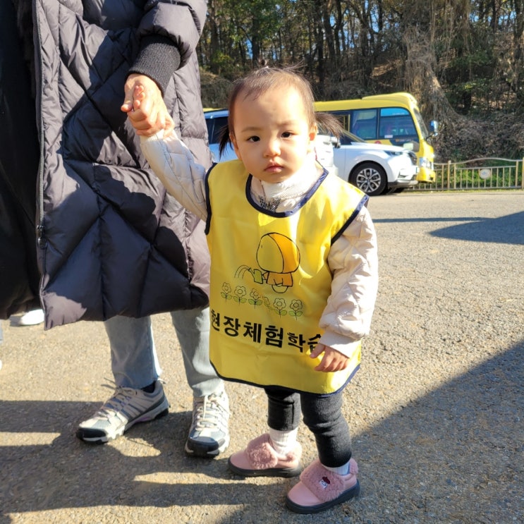 육아일기 #156 - 18개월 아기 스타의 어린이집 현장체험학습활동 무, 당근 뽑기