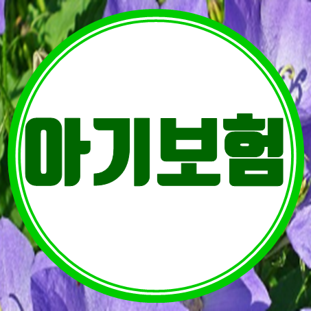  아기보험 가입 시 고려사항과 아기보험비교사이트의 역할
