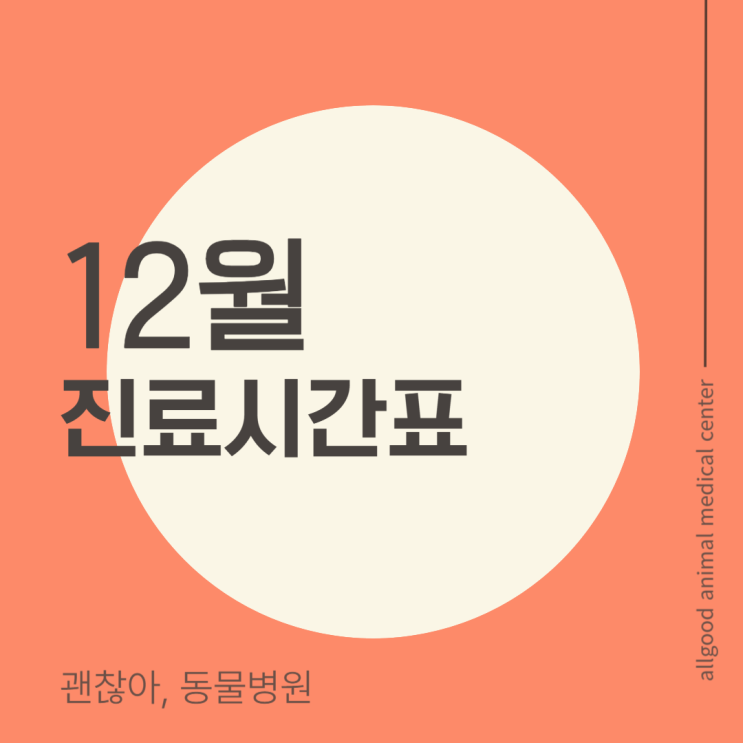 12월 진료시간표