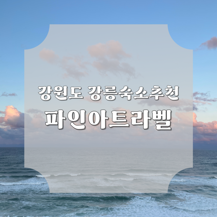 강릉 애견 동반 가성비 숙소 파인아트라벨 숙박 후기