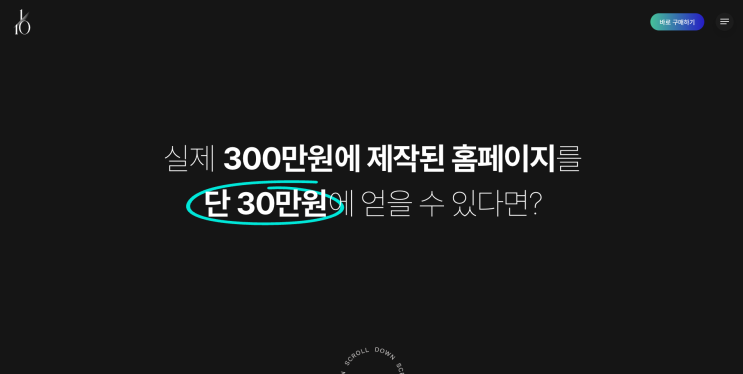  30만원짜리 템플릿으로 매출 3배 올리는 현실적인 방법