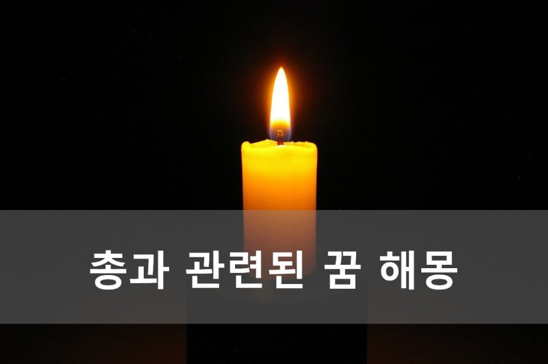 총과 관련된 꿈 해몽
