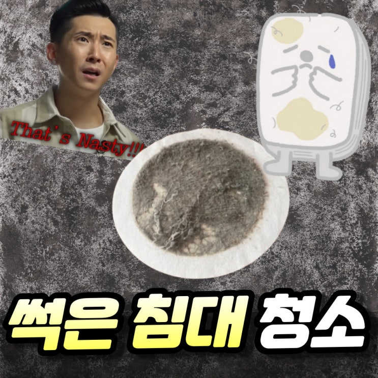 대전 매트리스 청소 충격 후기 (닥터쓱싹 침대 세탁)